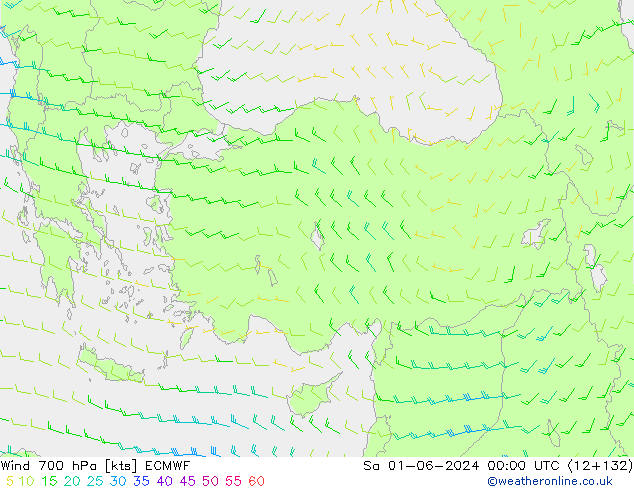 Vento 700 hPa ECMWF Sáb 01.06.2024 00 UTC