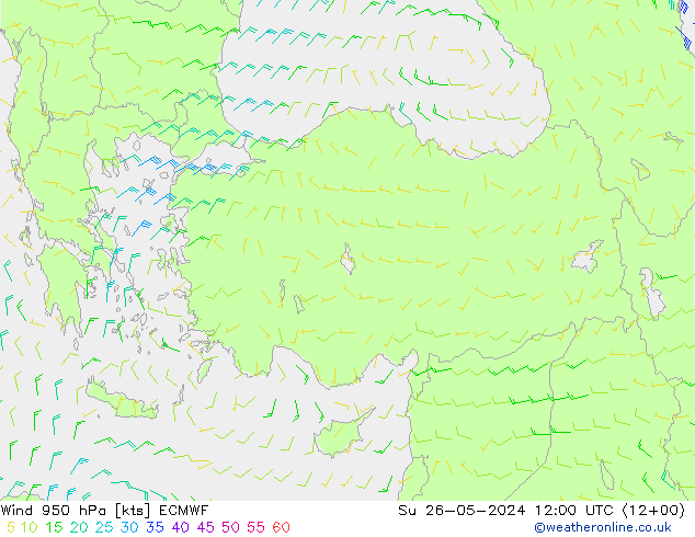 Rüzgar 950 hPa ECMWF Paz 26.05.2024 12 UTC