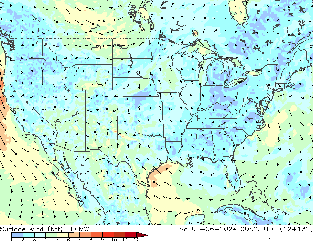 ве�Bе�@ 10 m (bft) ECMWF сб 01.06.2024 00 UTC