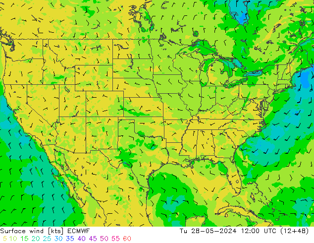 Surface wind ECMWF Tu 28.05.2024 12 UTC