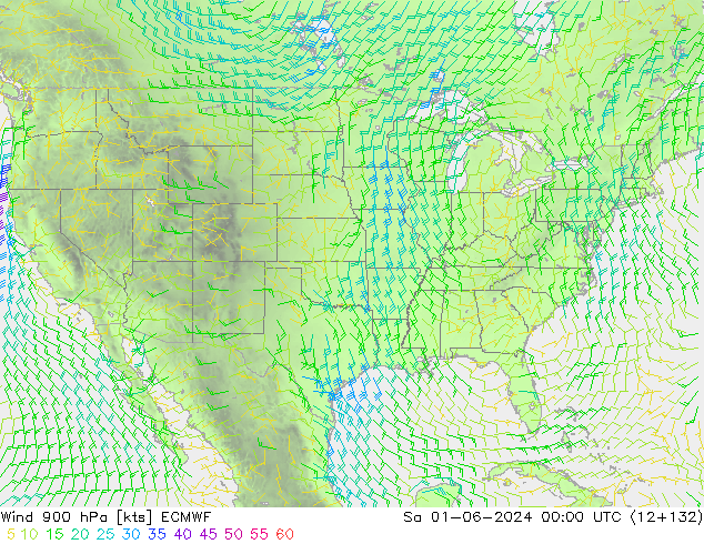  900 hPa ECMWF  01.06.2024 00 UTC