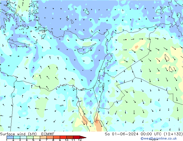 Wind 10 m (bft) ECMWF za 01.06.2024 00 UTC