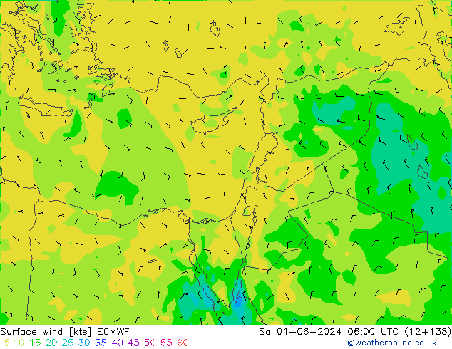 Wind 10 m ECMWF za 01.06.2024 06 UTC