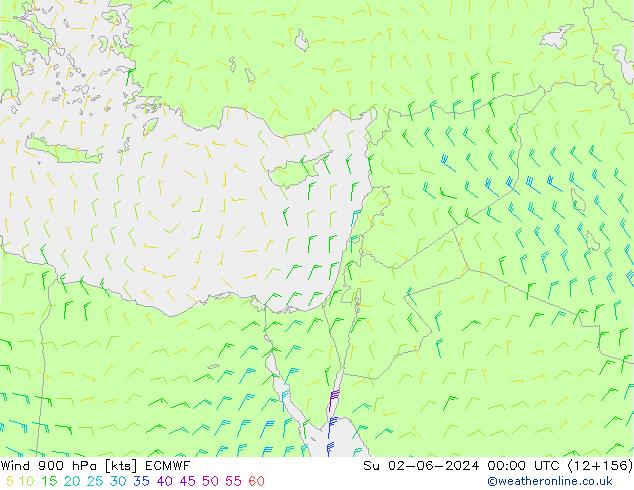 Wind 900 hPa ECMWF zo 02.06.2024 00 UTC