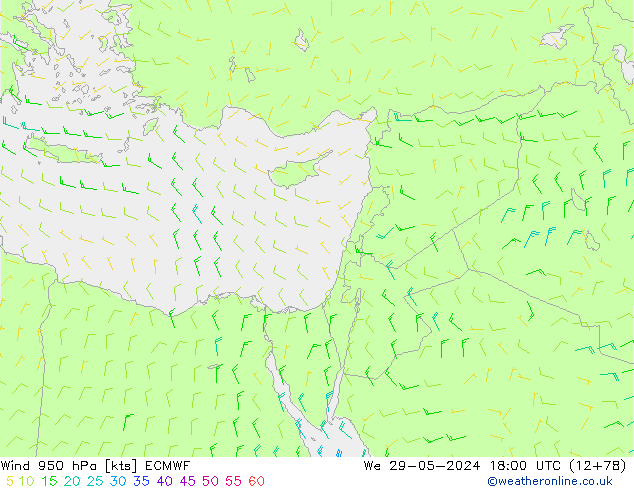 Rüzgar 950 hPa ECMWF Çar 29.05.2024 18 UTC