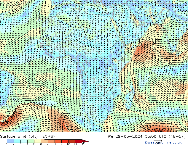 Surface wind (bft) ECMWF St 29.05.2024 03 UTC