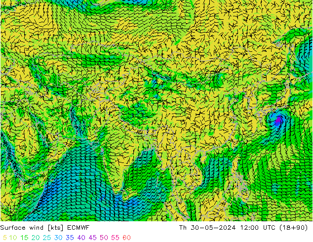 Surface wind ECMWF Th 30.05.2024 12 UTC