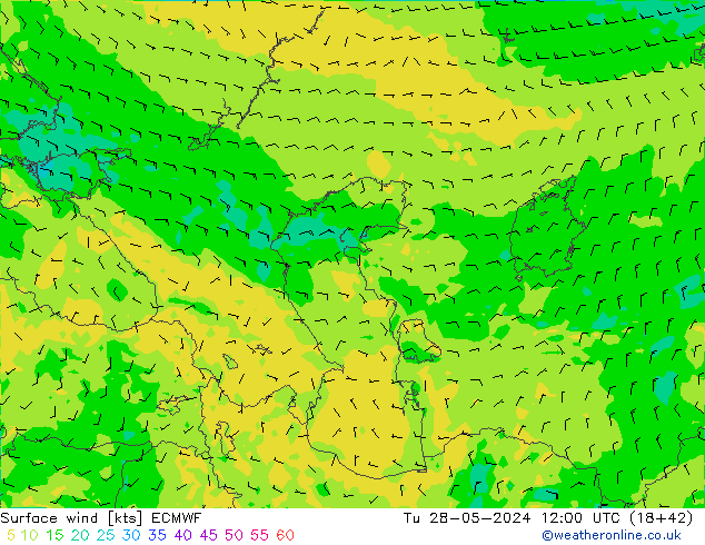 Surface wind ECMWF Tu 28.05.2024 12 UTC