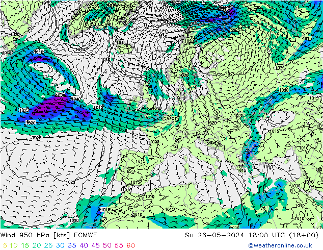 风 950 hPa ECMWF 星期日 26.05.2024 18 UTC