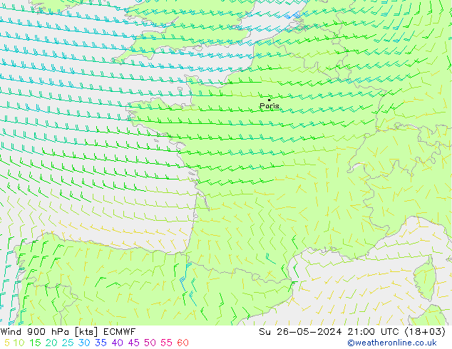 Rüzgar 900 hPa ECMWF Paz 26.05.2024 21 UTC