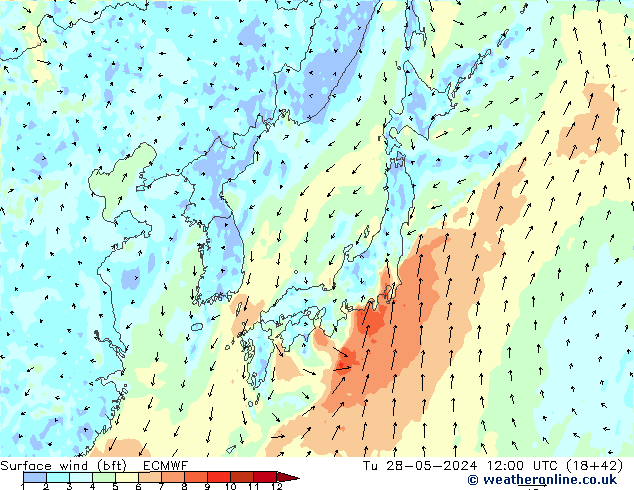 Wind 10 m (bft) ECMWF di 28.05.2024 12 UTC