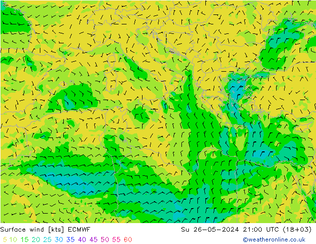  10 m ECMWF  26.05.2024 21 UTC