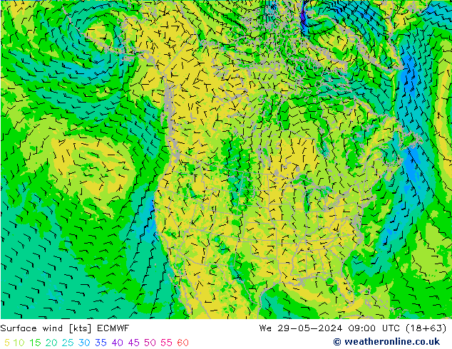 Wind 10 m ECMWF wo 29.05.2024 09 UTC