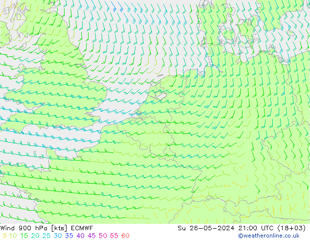 Wind 900 hPa ECMWF So 26.05.2024 21 UTC