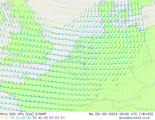 Wind 900 hPa ECMWF We 29.05.2024 09 UTC