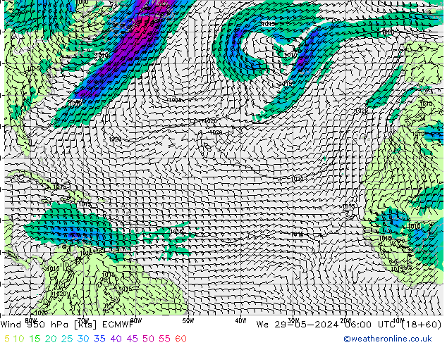 Rüzgar 950 hPa ECMWF Çar 29.05.2024 06 UTC