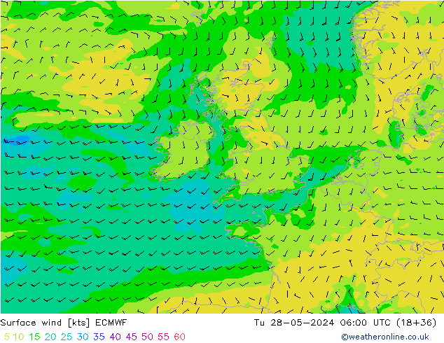 Wind 10 m ECMWF di 28.05.2024 06 UTC