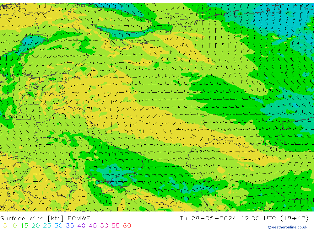 Surface wind ECMWF Tu 28.05.2024 12 UTC