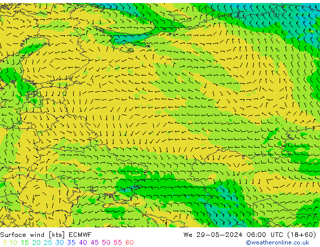  10 m ECMWF  29.05.2024 06 UTC