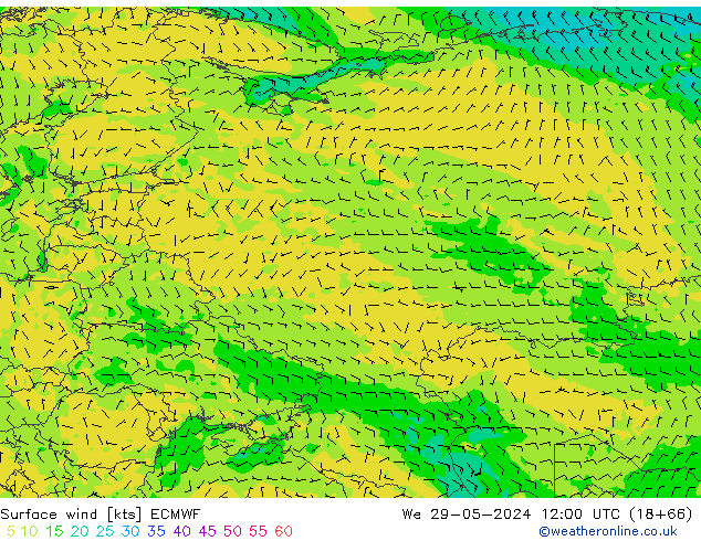 Vento 10 m ECMWF mer 29.05.2024 12 UTC