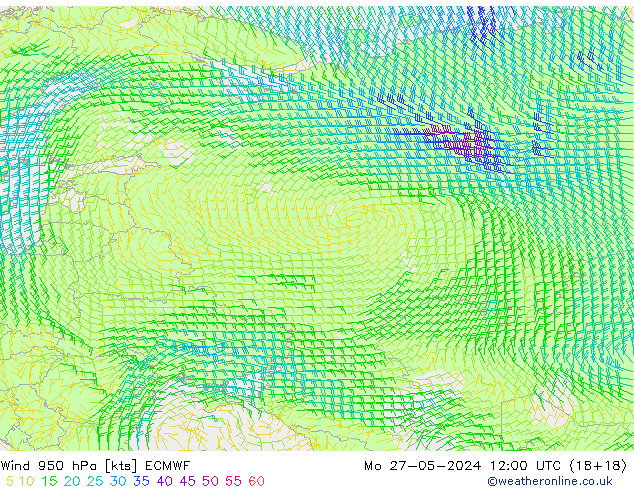 Rüzgar 950 hPa ECMWF Pzt 27.05.2024 12 UTC