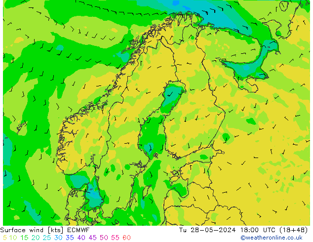 Wind 10 m ECMWF di 28.05.2024 18 UTC