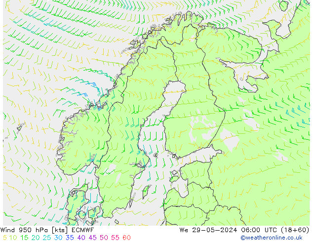 wiatr 950 hPa ECMWF śro. 29.05.2024 06 UTC