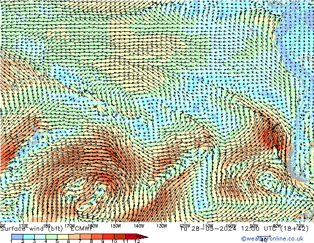 Wind 10 m (bft) ECMWF di 28.05.2024 12 UTC