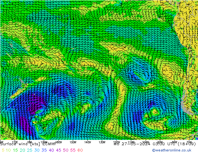 Rüzgar 10 m ECMWF Pzt 27.05.2024 03 UTC