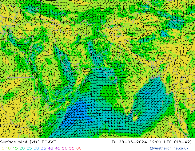 Surface wind ECMWF Tu 28.05.2024 12 UTC