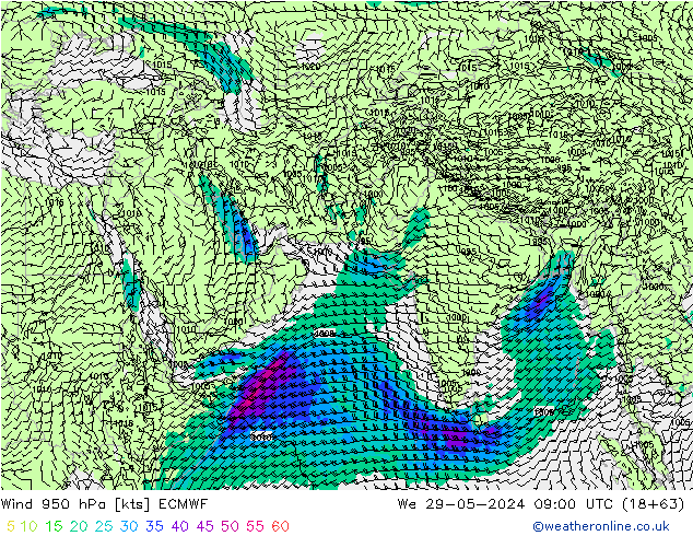  950 hPa ECMWF  29.05.2024 09 UTC