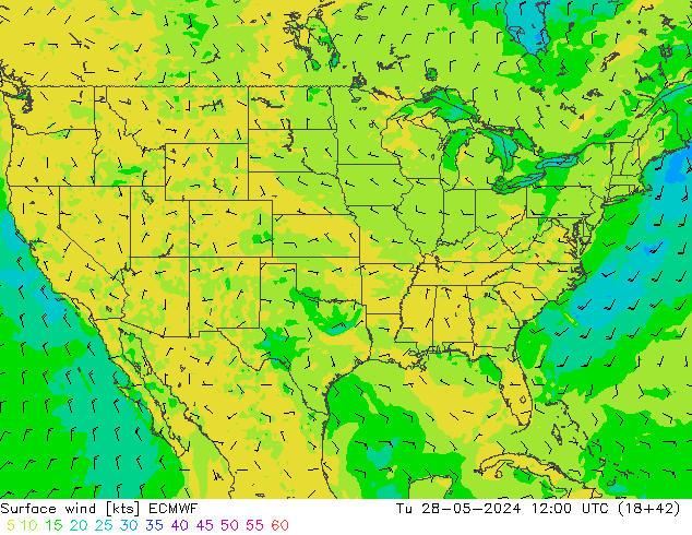 Surface wind ECMWF Tu 28.05.2024 12 UTC