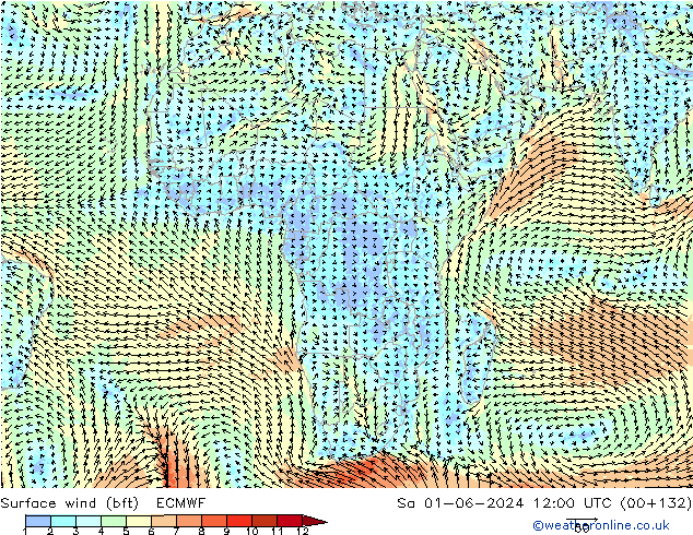 Surface wind (bft) ECMWF Sa 01.06.2024 12 UTC