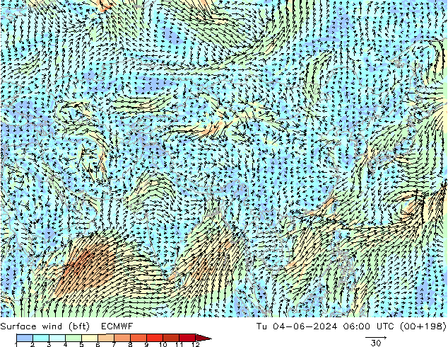 Surface wind (bft) ECMWF Tu 04.06.2024 06 UTC