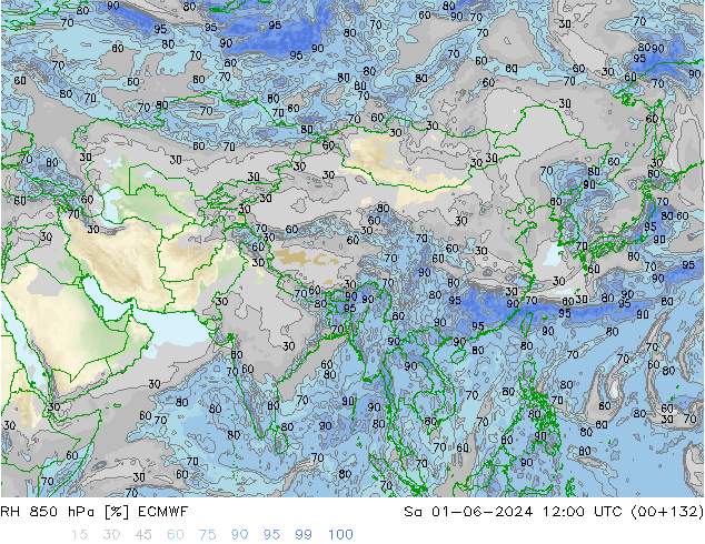 RH 850 гПа ECMWF сб 01.06.2024 12 UTC