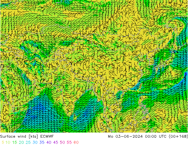 Surface wind ECMWF Po 03.06.2024 00 UTC