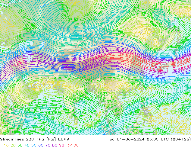 Rüzgar 200 hPa ECMWF Cts 01.06.2024 06 UTC