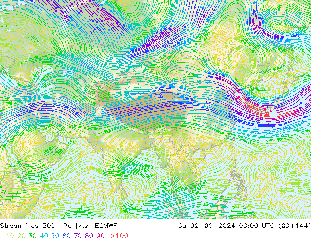 Linha de corrente 300 hPa ECMWF Dom 02.06.2024 00 UTC