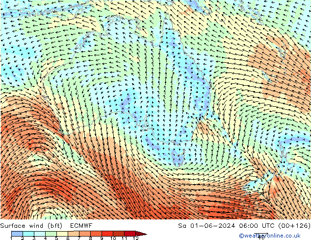 Surface wind (bft) ECMWF Sa 01.06.2024 06 UTC