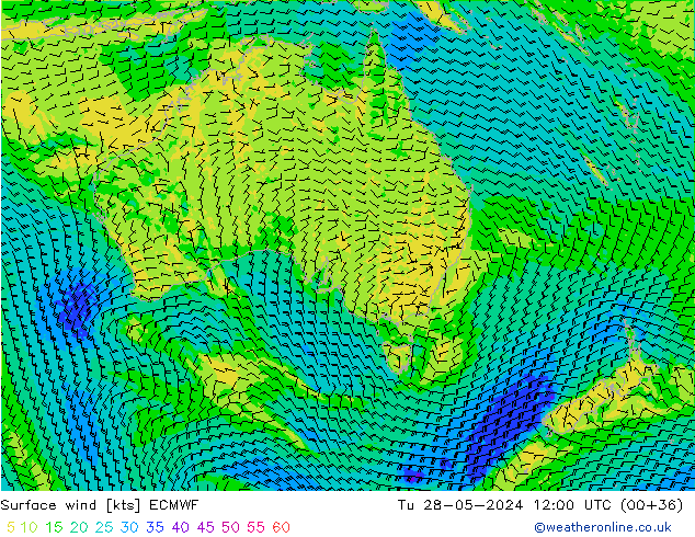 ветер 10 m ECMWF вт 28.05.2024 12 UTC