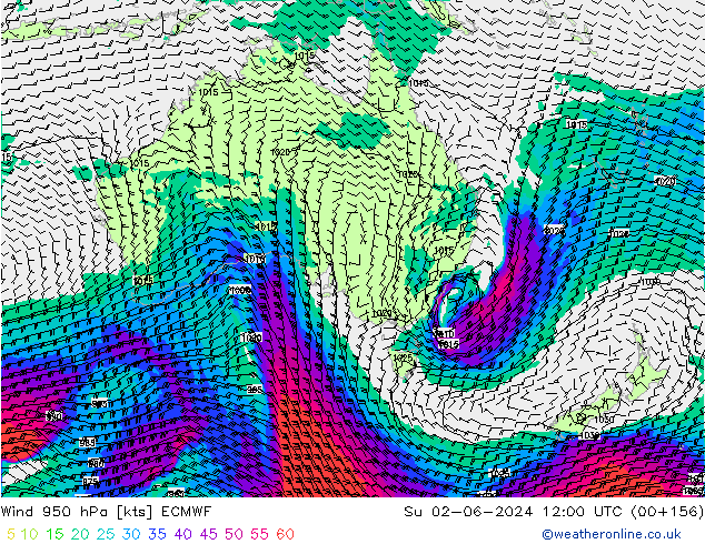 Wind 950 hPa ECMWF Ne 02.06.2024 12 UTC