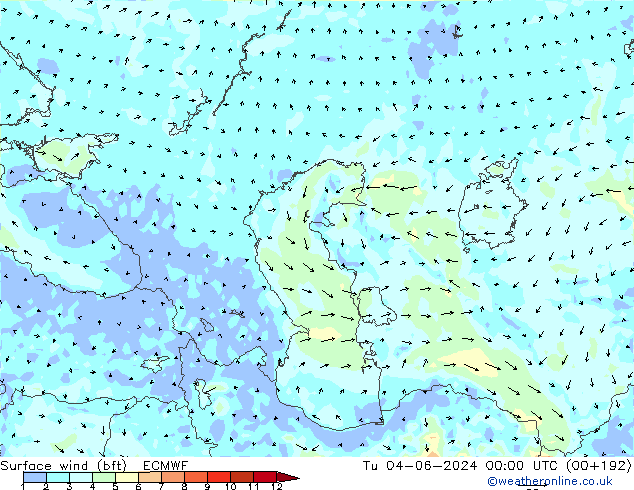  10 m (bft) ECMWF  04.06.2024 00 UTC