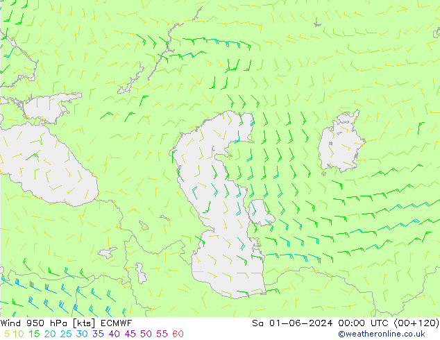 Wind 950 hPa ECMWF Sa 01.06.2024 00 UTC