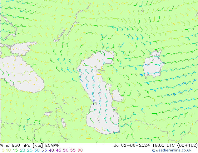  950 hPa ECMWF  02.06.2024 18 UTC