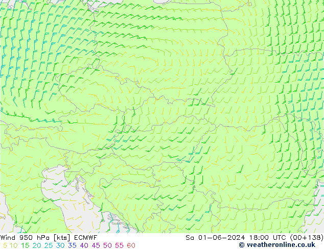 ветер 950 гПа ECMWF сб 01.06.2024 18 UTC