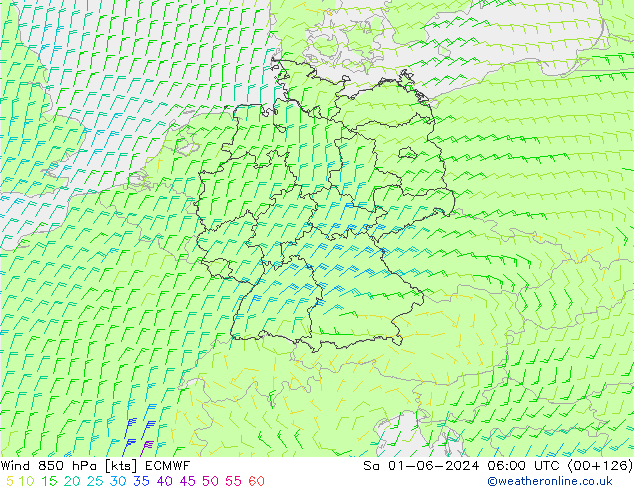  850 hPa ECMWF  01.06.2024 06 UTC