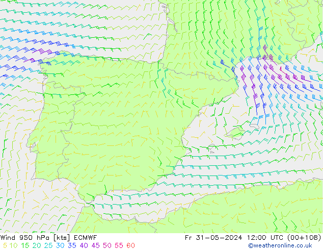 Vento 950 hPa ECMWF ven 31.05.2024 12 UTC