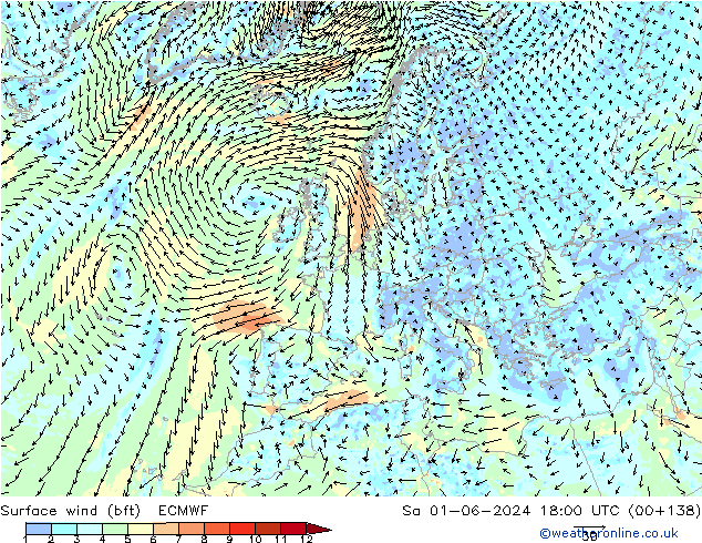  10 m (bft) ECMWF  01.06.2024 18 UTC