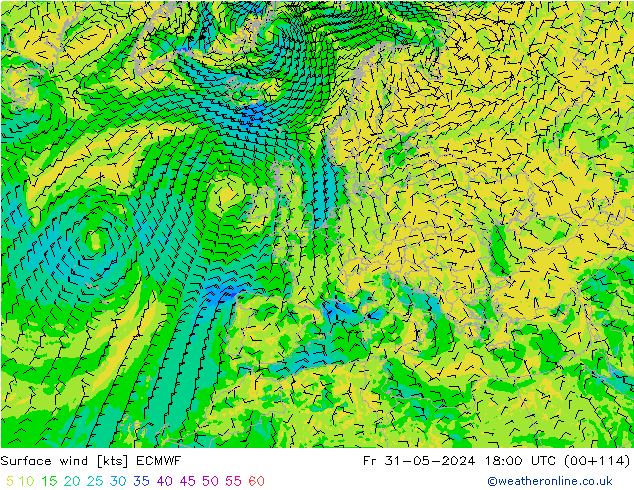 Bodenwind ECMWF Fr 31.05.2024 18 UTC