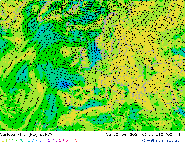 Surface wind ECMWF Ne 02.06.2024 00 UTC